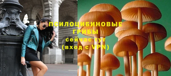 МДПВ Алексеевка