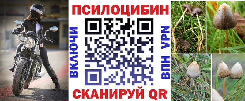 наркотики  Приморск  Галлюциногенные грибы MAGIC MUSHROOMS 